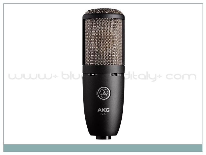 AKG P220