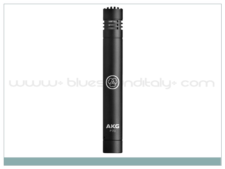 AKG P170